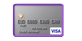 Visa Kreditkarte Zahlungsmethode